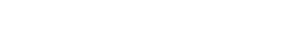 PRO automotive